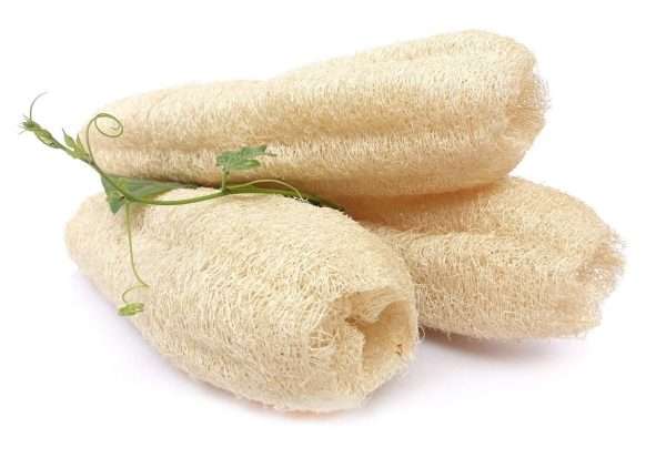 Natural Loofah Sponge